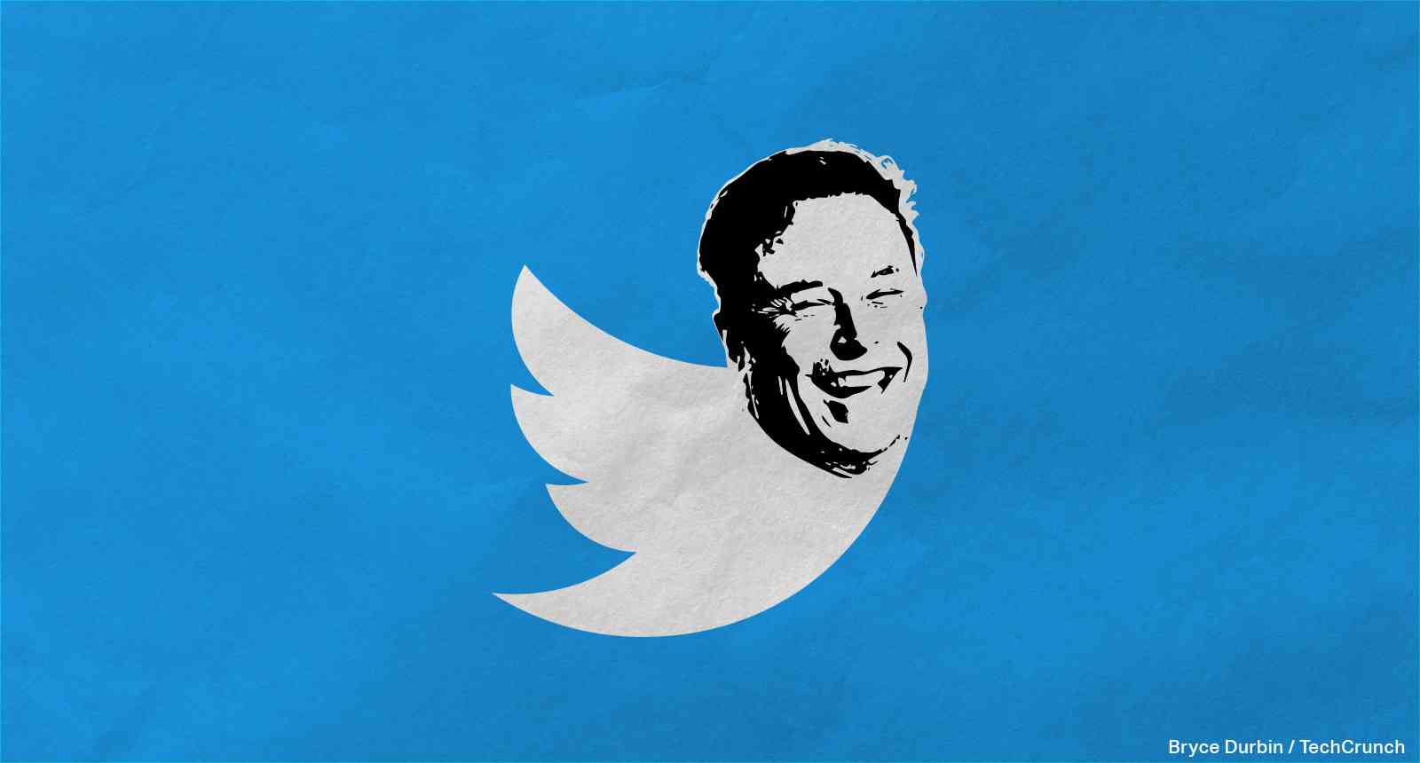 Twitter-Vogellogo mit dem Kopf von Elon Musk