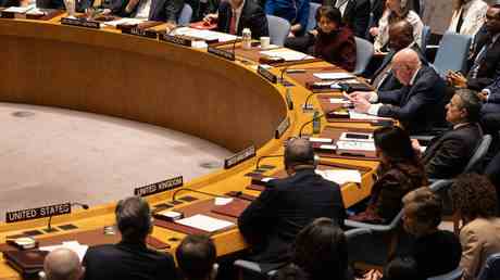 EU Nation fordert UN Untersuchung von „Terroranschlag — World