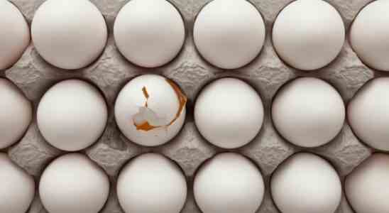 Hoehere Eierpreise fuehren zu Nachfrage nach Alternativen • Tech