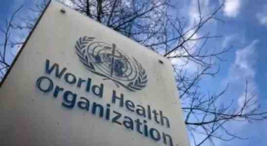 Marburg Virus Die WHO haelt ein Dringlichkeitstreffen zum Ausbruch von EGuinea