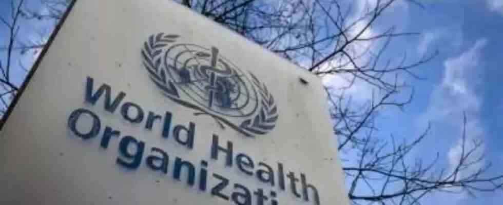 Marburg Virus Die WHO haelt ein Dringlichkeitstreffen zum Ausbruch von EGuinea