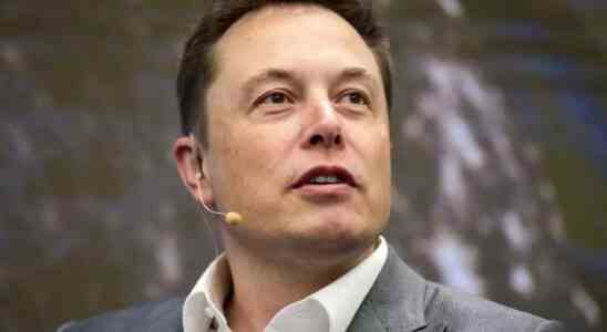 Musk Elon Musk hat moeglicherweise einen Twitter Mitarbeiter entlassen weil er