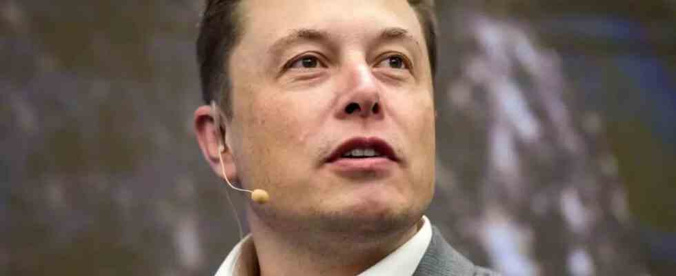 Musk Elon Musk hat moeglicherweise einen Twitter Mitarbeiter entlassen weil er