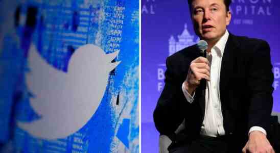 Musk Twitter bekommt einen neuen CEO das hat Elon Musk