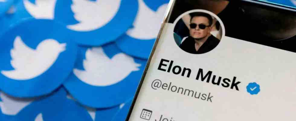 Rueckenschmerzen Schlafmangel Der Twitter Effekt auf Elon Musk