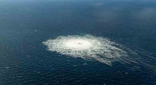 Schweinswale sind wahrscheinlich krank taub oder tot von Nord Stream Explosionen