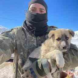 Sinan rettete einen Hund aus den Truemmern der Tuerkei und
