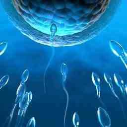 Voruebergehendes Badeverbot Pille soll bald Spermien einschlaefern Gesundheit