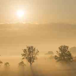 Wettervorhersage Dichter Nebel Wolken und Sonnenschein wechseln sich ab