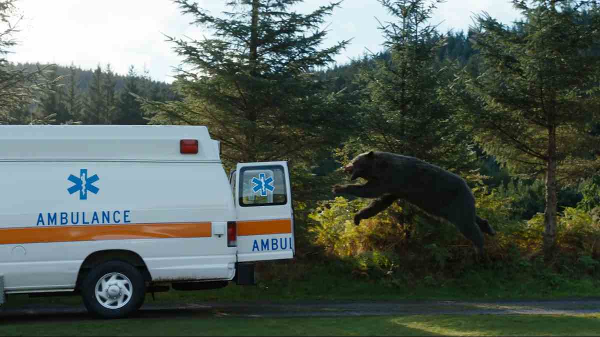 Cocaine Bear Is a Pre-Packaged Cult Hit – Diskussion darüber, was Kultfilm ist und wie sich die Natur des physischen Teilens von VHS/DVD-Filmen verändert hat