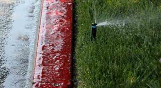 Die Praezisionsregner von Irrigreen verhindern Wasserverschwendung und nasse Beine
