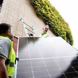 Eneco muss viele Kunden mit Solarmodulen kompensieren Wirtschaft