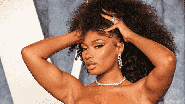 Megan Thee Stallion hat anscheinend den naechsten Safdie Brothers Film im