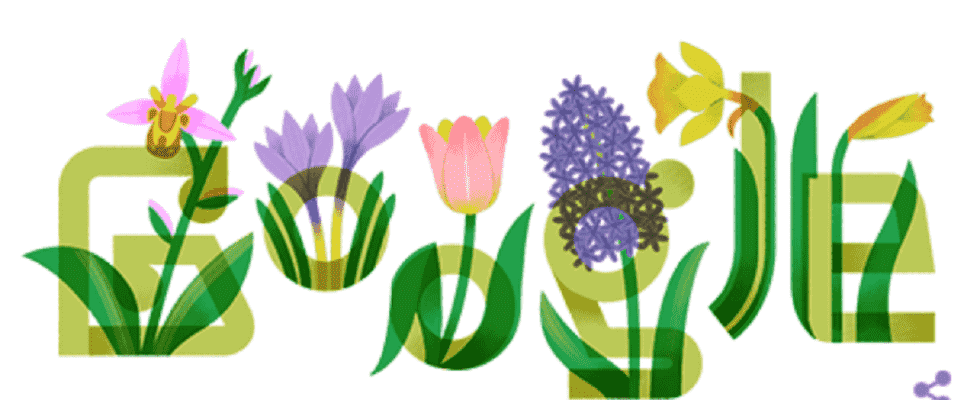 Nowruz 2023 Google feiert persisches Neujahr mit buntem Doodle