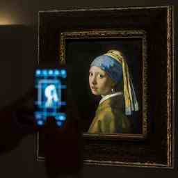 Probleme mit Rijksmuseum Ticketsystem vorbei Vermeer Tickets wieder im Verkauf Buch