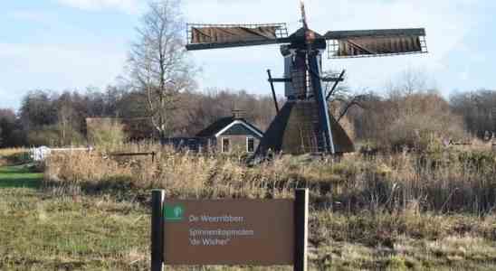 Sind unsere geliebten hollaendischen Windmuehlen unsicher Aus anderen Medien