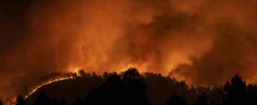 Spanien 1500 evakuiert da die Brandsaison in Spanien frueh beginnt