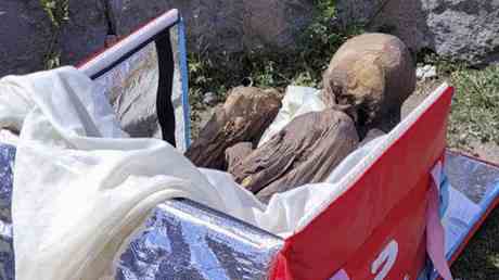 Uralte Mumie im Rucksack des Lieferanten gefunden — World
