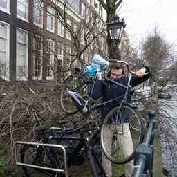 600 arbres abattus a Amsterdam par les tempetes de fevrier