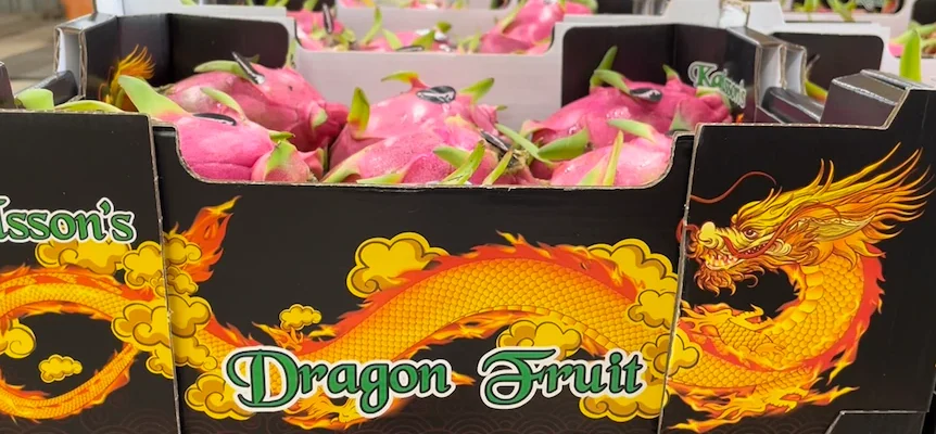 Les producteurs de fruits du dragon sunissent face a la.webp