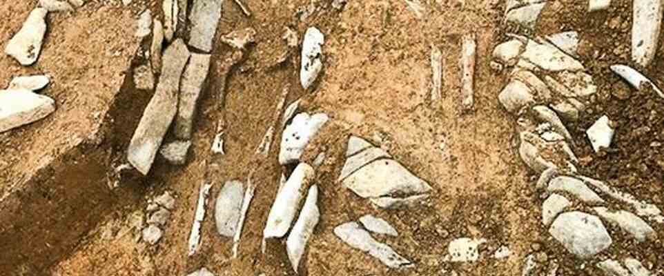 Le squelette dun mercenaire romain de 456 a ete retrouve