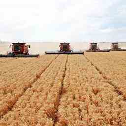 Les exportations de cereales ukrainiennes quatre fois plus faibles quen