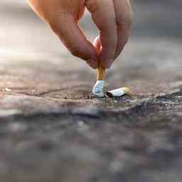 Les fumeurs ont depense moins dargent au Tresor