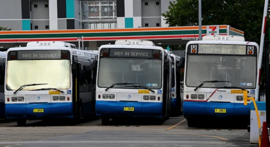 Sydney News Des centaines de chauffeurs de bus de.webp