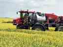 Un agriculteur pulvérise une culture de canola au sud de Regina.