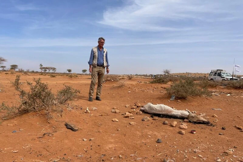 Un homme se tient dans un paysage de sable sec et regarde une vache morte. 