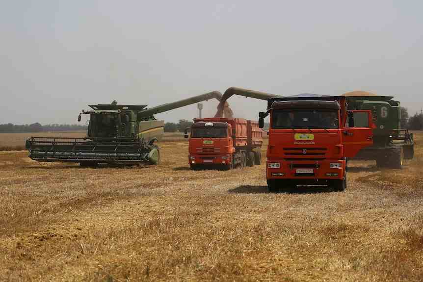 Les agriculteurs récoltent dans un champ de blé