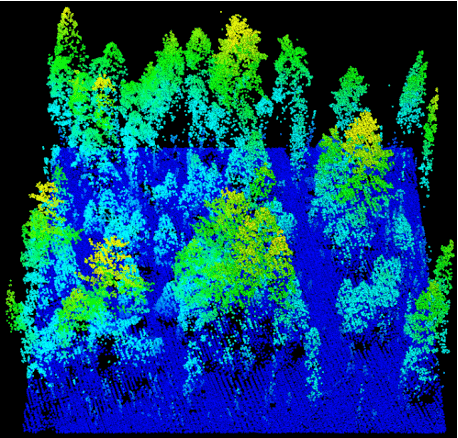 Forêt de Yosemite modérément brûlée cartographiée en bleu, vert et jaune
