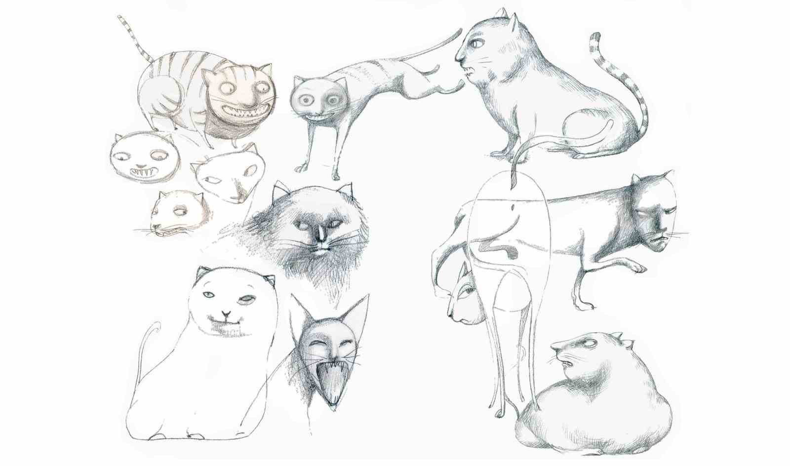 Une série de croquis de chats.