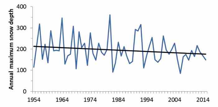 Graphique de l'épaisseur maximale de neige par an de 1954 à 2014 avec des hauteurs variables mais une tendance générale à la baisse.