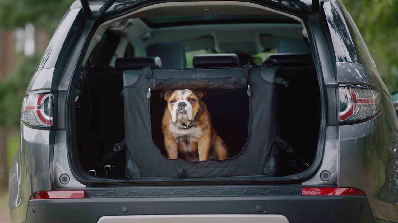 De plus, les marques automobiles ont généralement des accessoires pour chiens dans leur gamme, tout comme Land Rover.