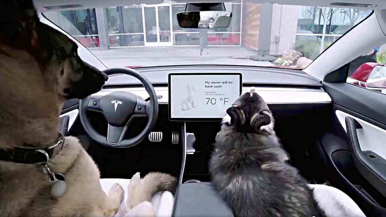 Dans le soi-disant mode chien, l'écran d'une Tesla affiche le message que la climatisation est allumée et que le propriétaire sera de retour sous peu.