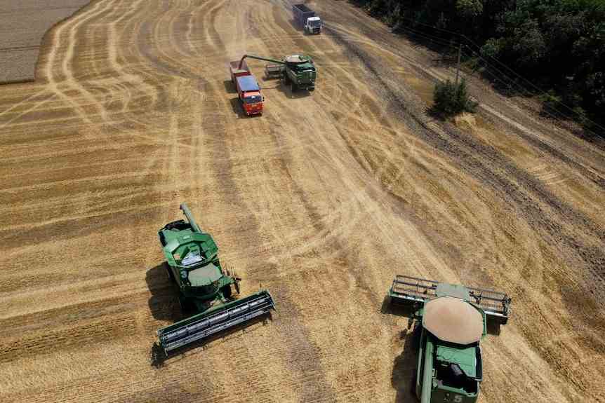 Les agriculteurs récoltent avec leurs moissonneuses-batteuses dans un champ de blé