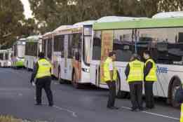 Plus de 1 500 chauffeurs de bus entament une greve