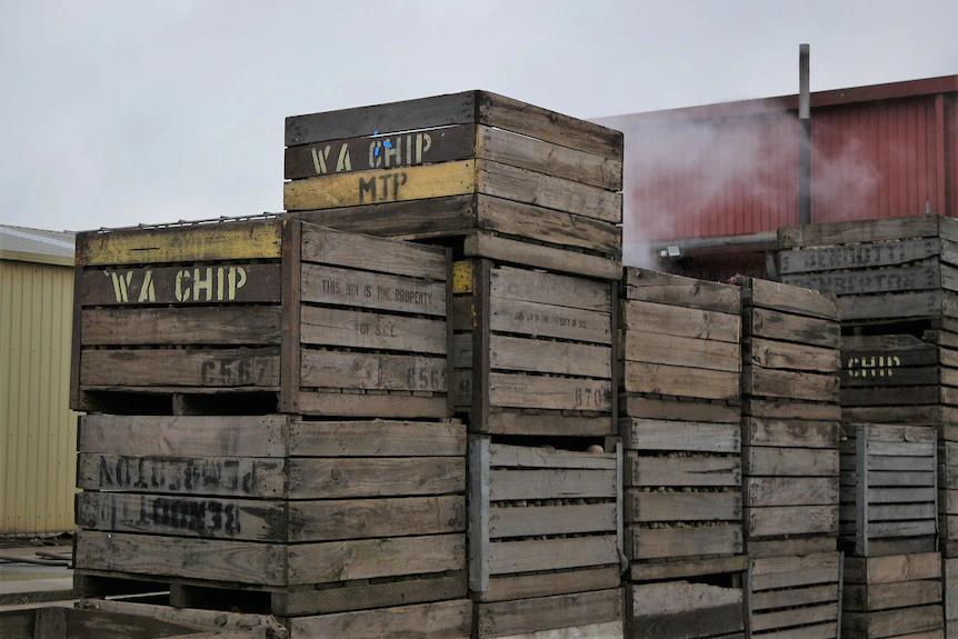 WA Chip : caisses de pommes de terre