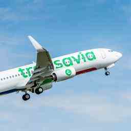 Transavia annule 240 vols a Schiphol pendant les mois dete