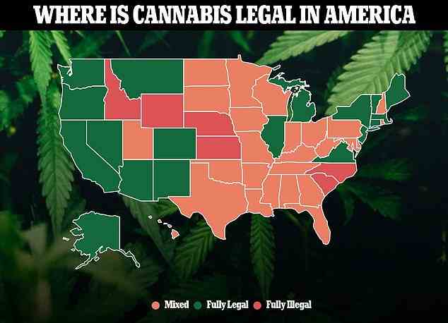 Plusieurs États ont maintenant légalisé l'usage récréatif du cannabis, mais pas pour les moins de 21 ans