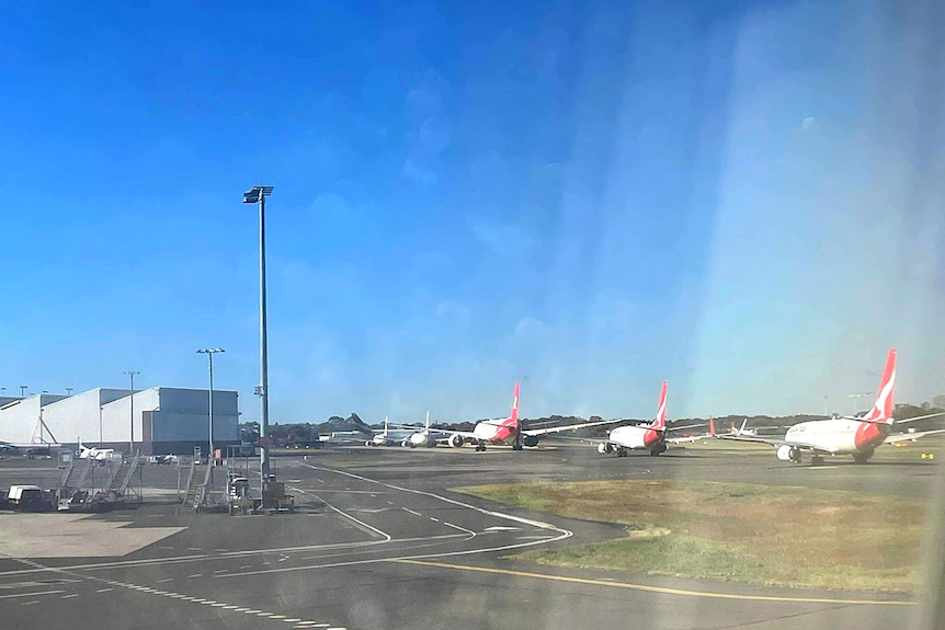 Sept plans empilés au milieu du chaos des voyages à l'aéroport de Sydney ont été abattus à travers la fenêtre de l'avion
