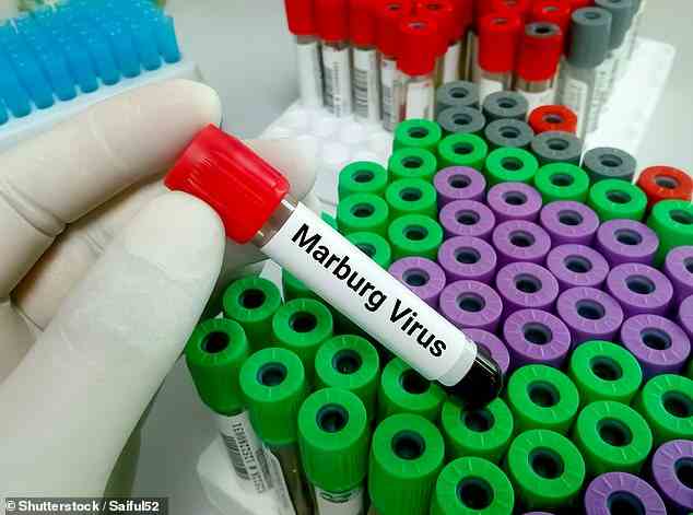 Deux personnes seraient mortes au Ghana du virus extrêmement mortel de Marburg