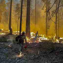 1657606531 Un incendie de foret dans le parc national de Yosemite
