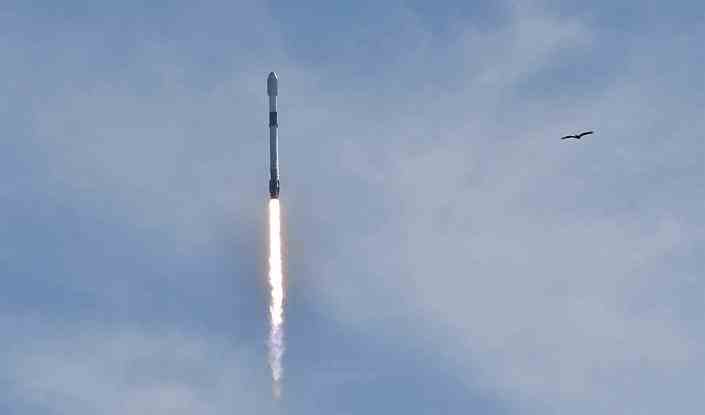 Le Falcon 9 accélère vers le ciel, bien après un oiseau qui passe.  / Crédit : William Harwood/CBS News