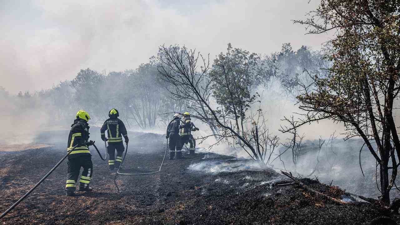 Les pompiers éteignent l'incendie dans la région slovène du Karst pour le sixième jour consécutif