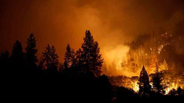 McKinney Fire brûle près d'Yreka, Californie, États-Unis le 30 juillet 2022. REUTERS/Fred Greaves
