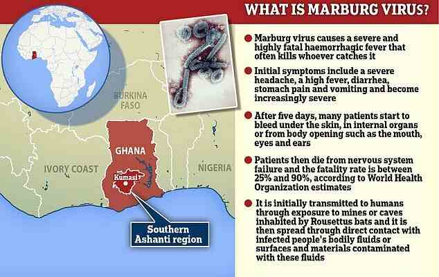 Craintes dune nouvelle epidemie du virus de Marburg qui tue