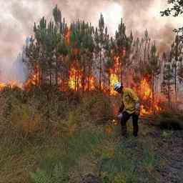 Les incendies de foret de Bordeaux sous controle apres