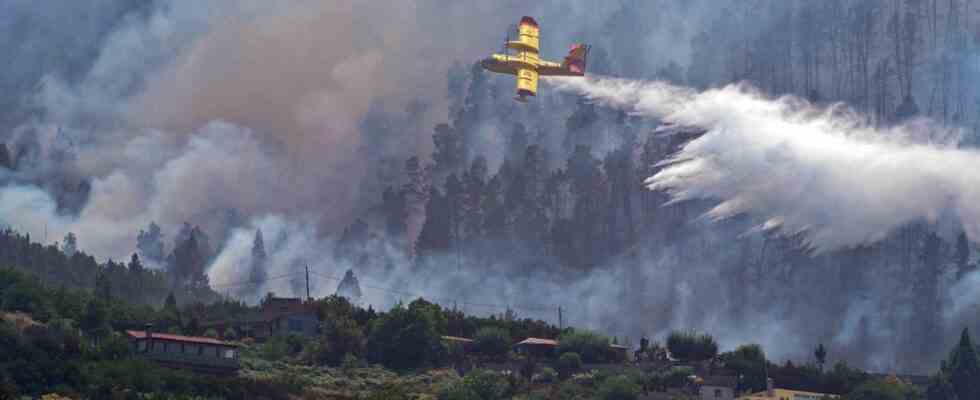 Les incendies de foret font actuellement rage dans ces pays